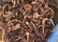 赤峰批發(fā)小雞崽電話號碼是多少