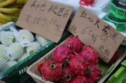 赤峰芭樂水果店電話地址查詢