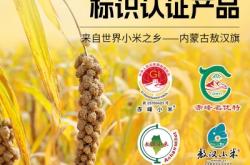 赤峰市小米家電售后電話號碼