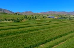 赤峰高明洋商貿(mào)公司電話號碼