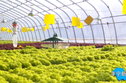 赤峰榮達(dá)汽修電話號碼查詢