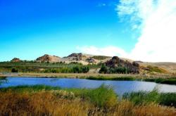 赤峰市手扒肉店地址電話號碼