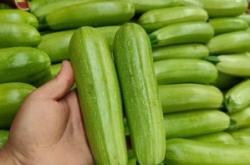 赤峰土豆冷庫(kù)加工廠電話號(hào)碼