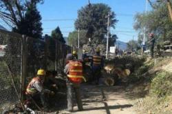 赤峰收舊木頭電話多少號(hào)