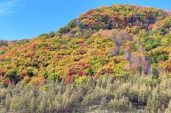 赤峰狗狗美容師招聘電話號(hào)碼