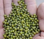 赤峰速凍調(diào)理品批發(fā)電話號碼