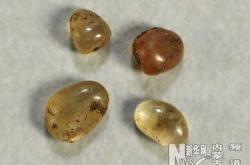 赤峰市賣紐扣的地方電話號碼