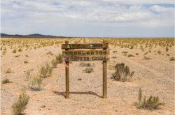 赤峰回收樟子松樹苗電話號碼