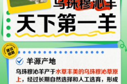 赤峰羊肉禮盒定制廠家電話號(hào)碼