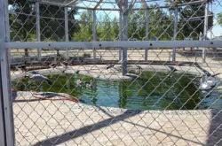 長青公園赤峰酒吧電話多少號