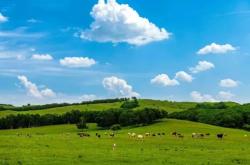 赤峰吉祥養(yǎng)生館電話(huà)號(hào)碼查詢(xún)