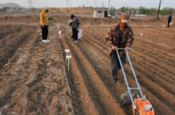 赤峰市谷子收割打捆電話號(hào)碼