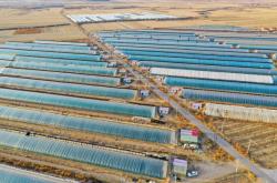 赤峰寧城b2駕校電話號(hào)碼