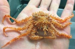 赤峰摩爾海洋樂(lè)園電話多少號(hào)