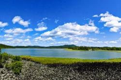 赤峰救助禿鷲的電話號(hào)碼是多少