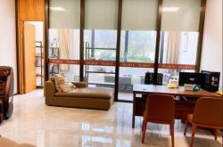 赤峰水族寵物店電話地址查詢