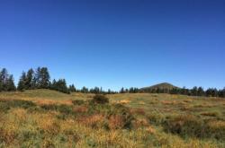 赤峰市鄰省旅游景區(qū)電話號碼