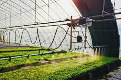 赤峰育苗基地電話號碼查詢