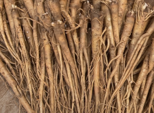 赤峰種植藥材合作社電話號(hào)碼