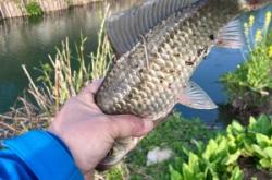 赤峰漁樂海洋公園電話號(hào)碼