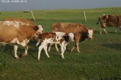 赤峰利潔日化電話多少號