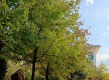 海濱路赤峰街交匯處電話號(hào)碼