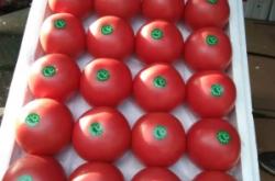 赤峰陳糧批發(fā)電話是多少號