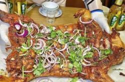 赤峰烤串戶外營(yíng)地電話號(hào)碼