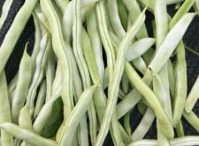 赤峰市收購(gòu)蕓豆電話號(hào)碼是多少