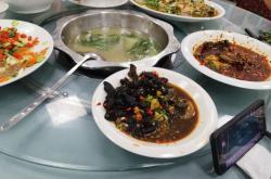 赤峰賣烏雞地方電話號(hào)碼是多少