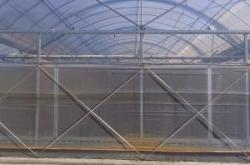 赤峰連棟大棚管廠家電話號碼