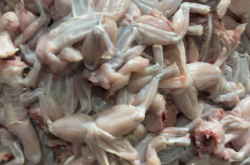 赤峰紅安凍品批發(fā)電話號(hào)碼