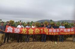 赤峰市大板鎮(zhèn)考場電話號碼