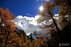 赤峰壹點(diǎn)攝影電話多少號