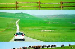 赤峰市包車電話