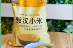 赤峰地區(qū)窩瓜種植基地電話號碼