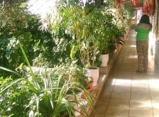 赤峰驢匹交易市場電話號碼