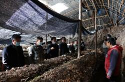 赤峰食用菌合作社電話號(hào)碼