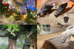 赤峰探店動(dòng)物園電話(huà)號(hào)碼