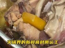 赤峰美食探店生蠔電話號碼