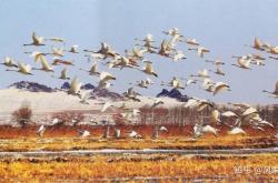 赤峰小天鵝專賣店電話號碼