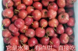 赤峰小糖葫蘆批發(fā)電話號(hào)碼