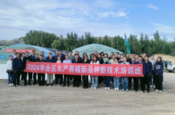 赤峰美術(shù)興趣班電話多少號(hào)