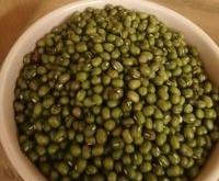 赤峰綠豆產(chǎn)業(yè)園電話號碼