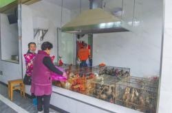 赤峰活雞交易市場(chǎng)