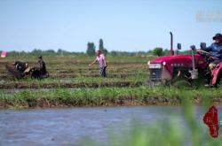 赤峰市水稻收購電話地址查詢