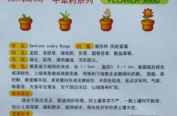 赤峰明艷花卉種子店電話號碼