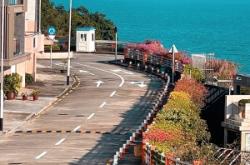 澳門路居委會電話