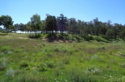 赤峰橋北通橋社區(qū)電話號碼