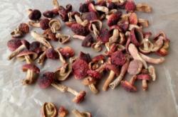 赤峰紅蘑產(chǎn)地加工廠電話號(hào)碼